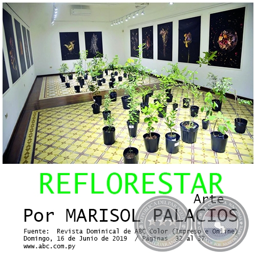 REFLORESTAR - Arte - Por MARISOL PALACIOS - Domingo, 16 de Junio de 2019